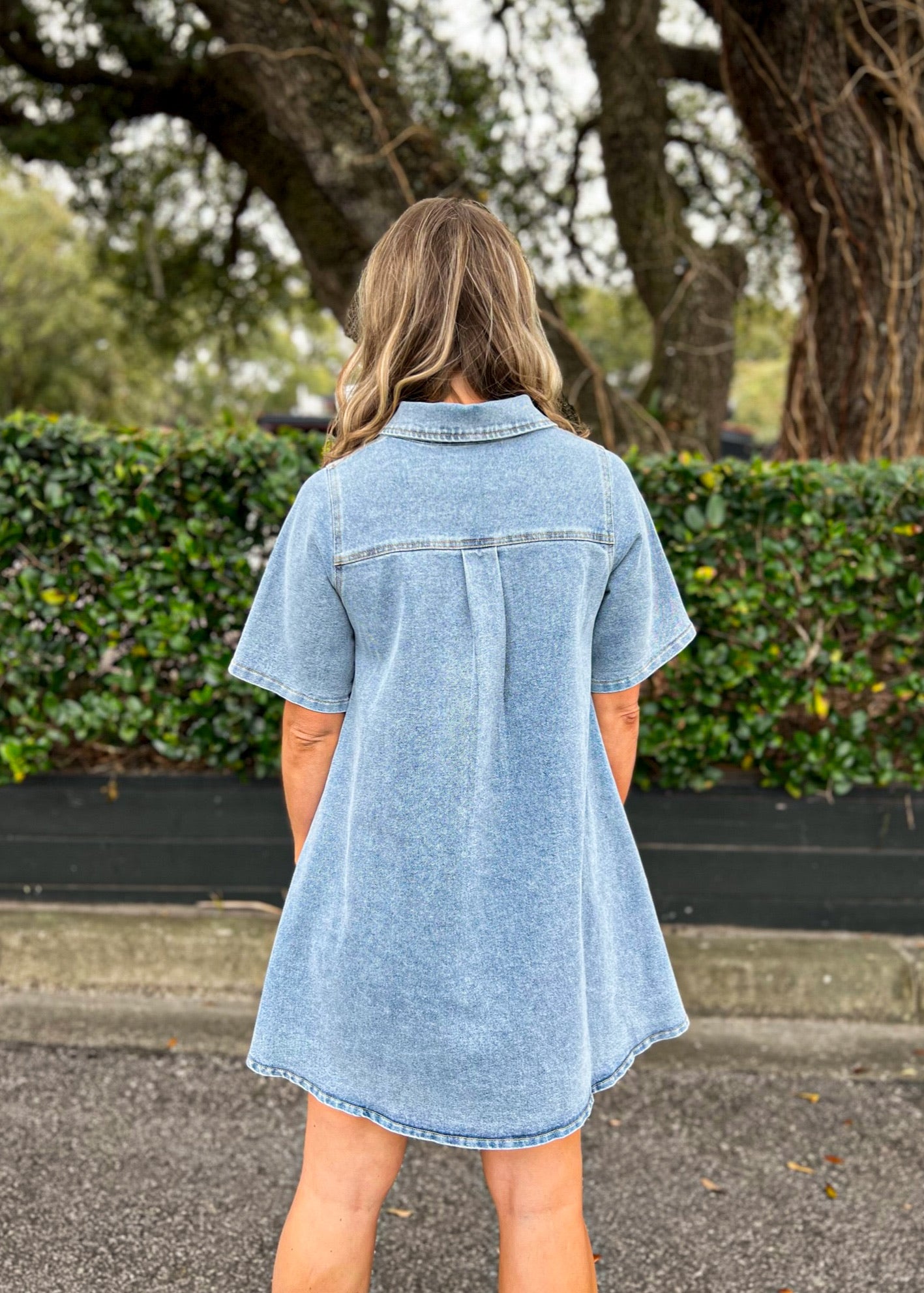 BARBARA DENIM MINI DRESS